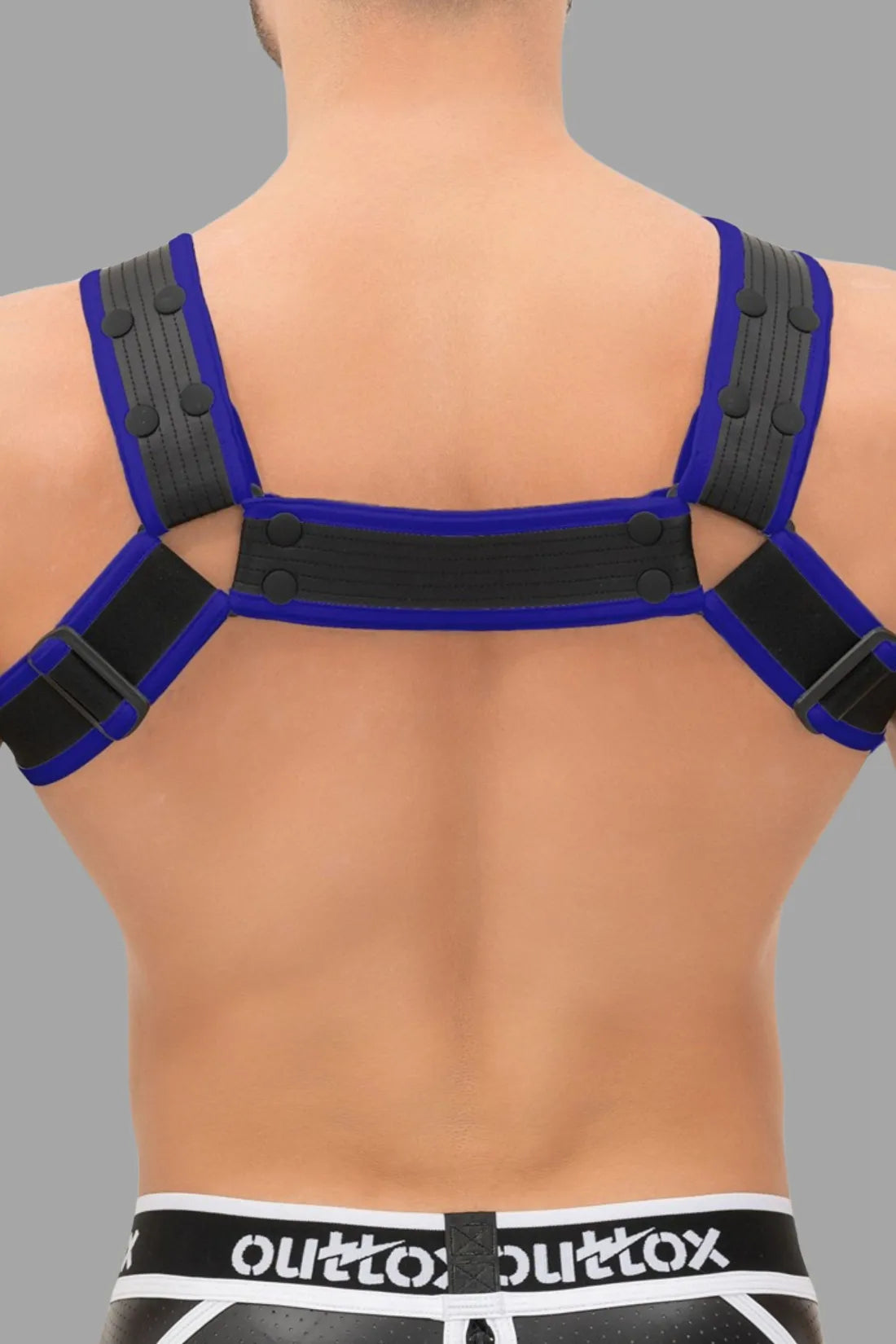 Outtox. Bulldog Harness with Snaps. Black and Blue