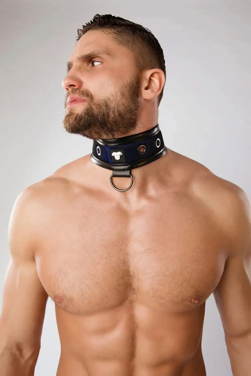 Maskulo blue-royal Armored Color-Under fetish play collar with black mesh, leather piping, and metal grommets for gender-fluid style