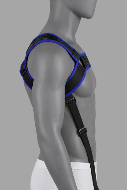 Arnés corporal con broches. Azul